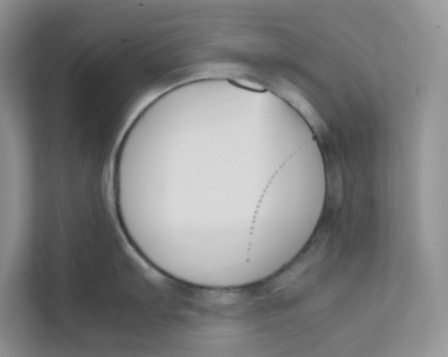 X0000111501103200908041157