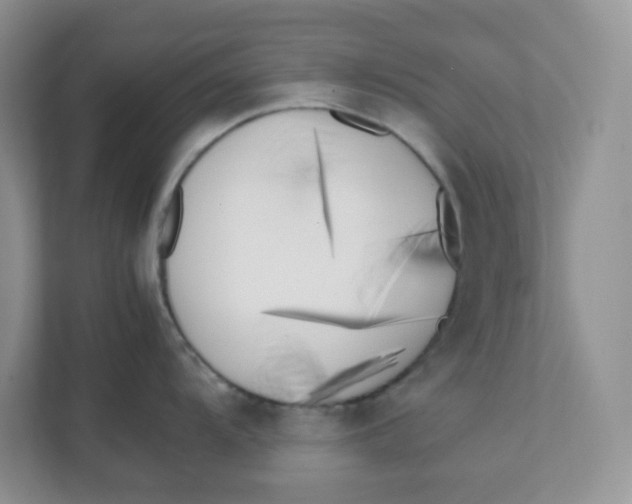 X0000111501104200908041157