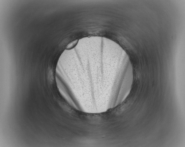 X0000111501106200908041156