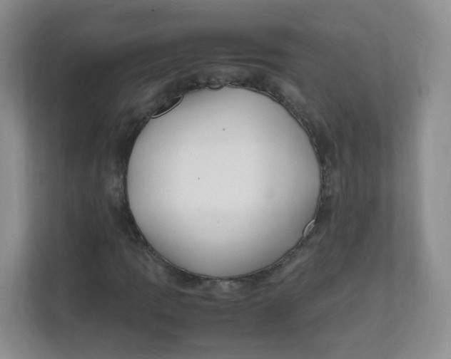 X0000111501109200908041156