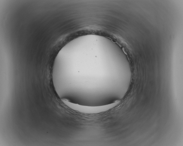 X0000111501110200908041156