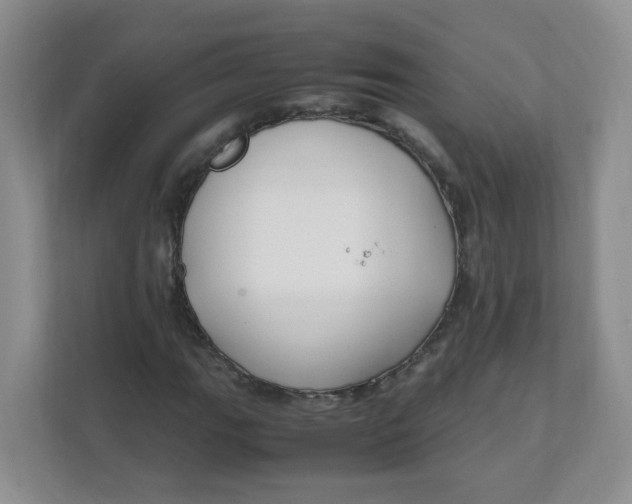 X0000111501111200908041156