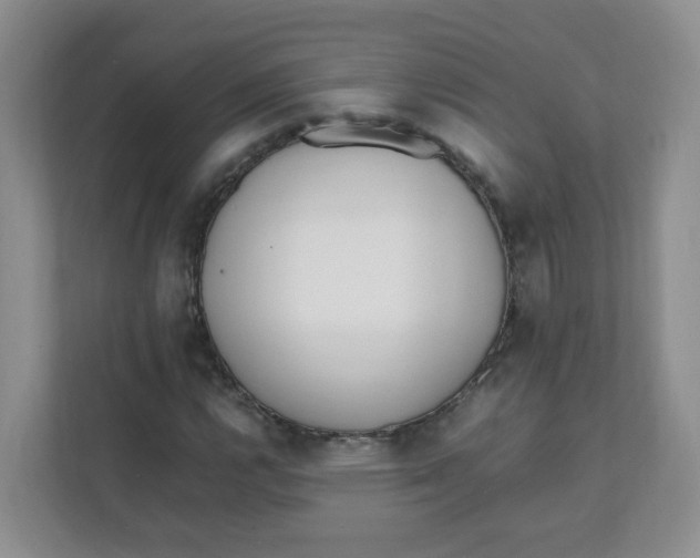 X0000111501112200908041156