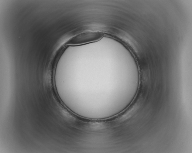 X0000111501114200908041157