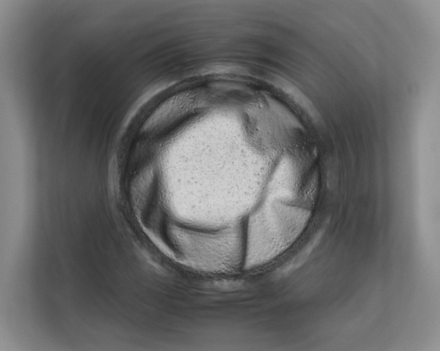 X0000111501117200908041157