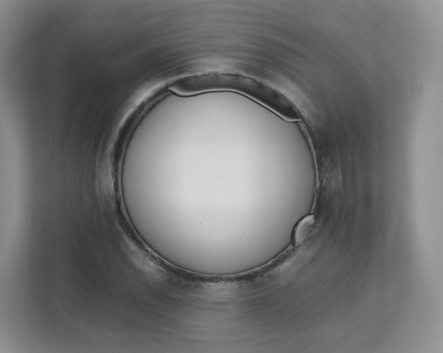 X0000111501118200908041157