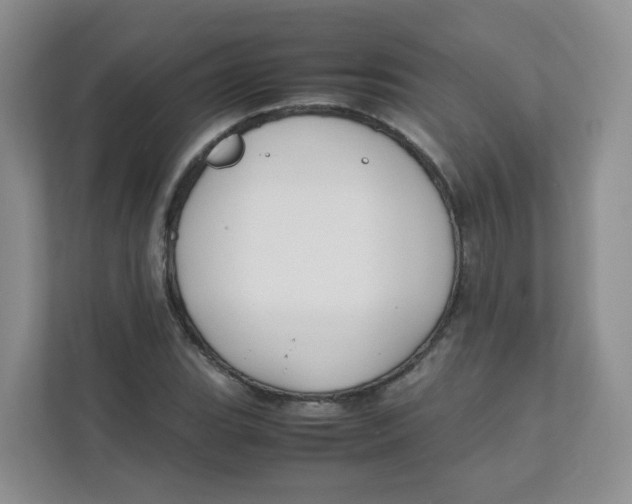 X0000111501119200908041157