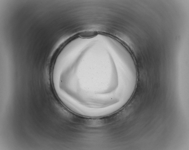 X0000111501120200908041157