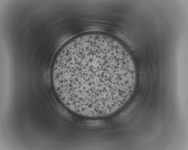 X0000111501121200908041157