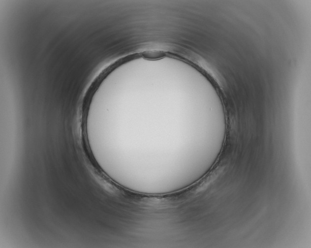 X0000111501124200908041157