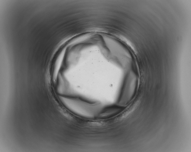 X0000111501125200908041157