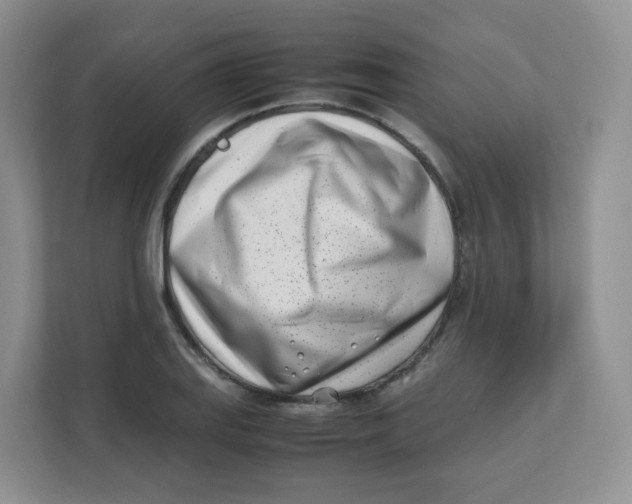 X0000111501127200908041157