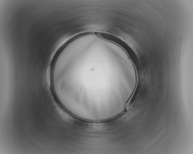 X0000111501128200908041157