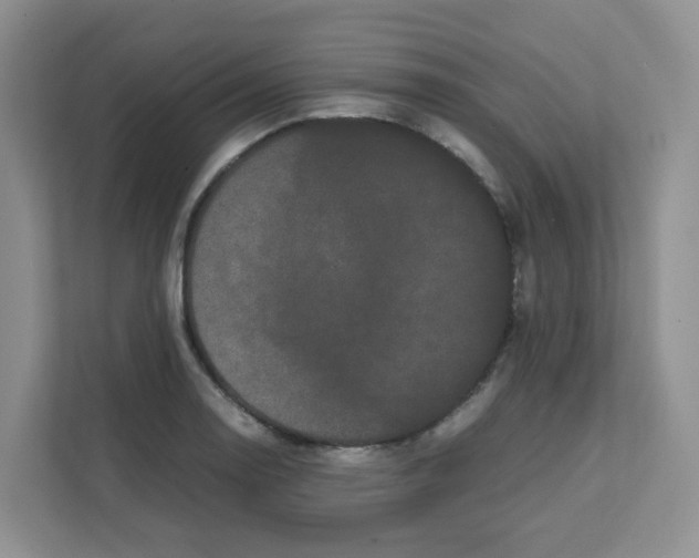 X0000111501130200908041157