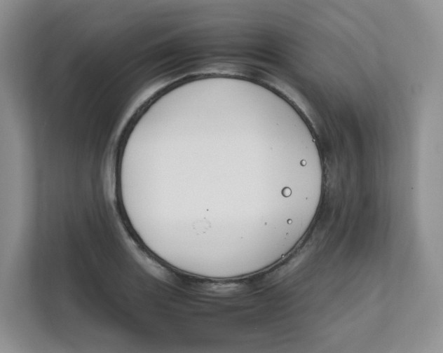 X0000111501131200908041157