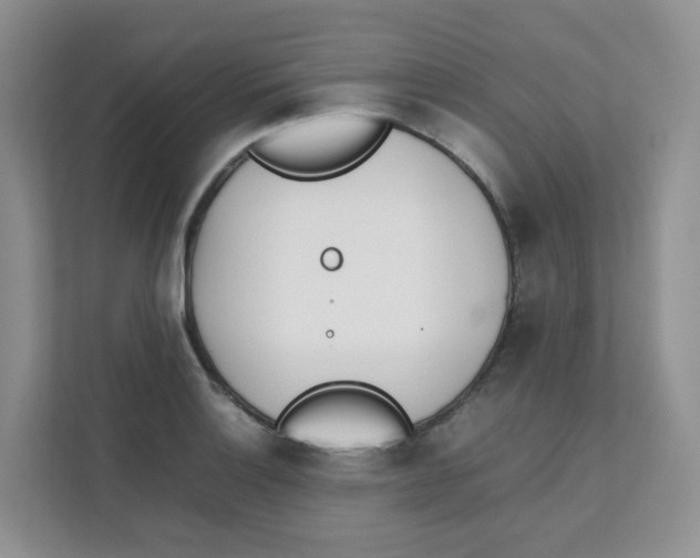 X0000111501132200908041157