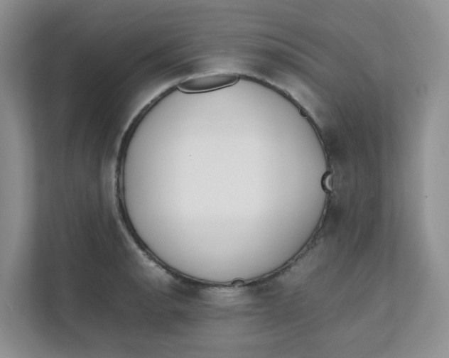 X0000111501134200908041157