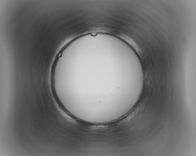 X0000111501135200908041157