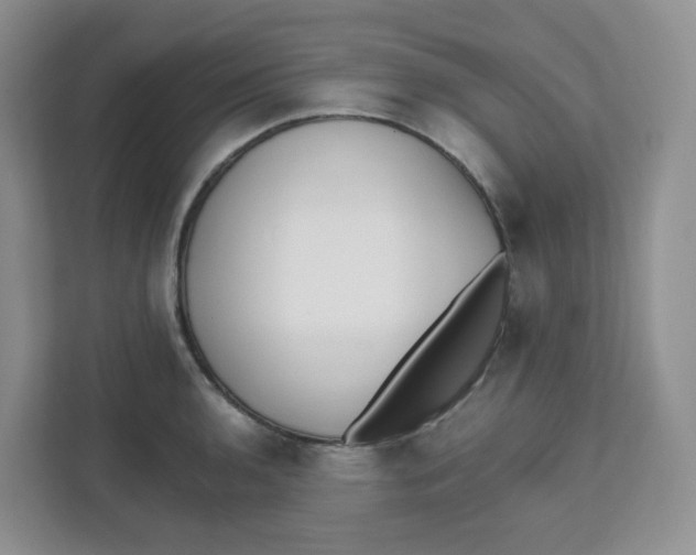 X0000111501136200908041157