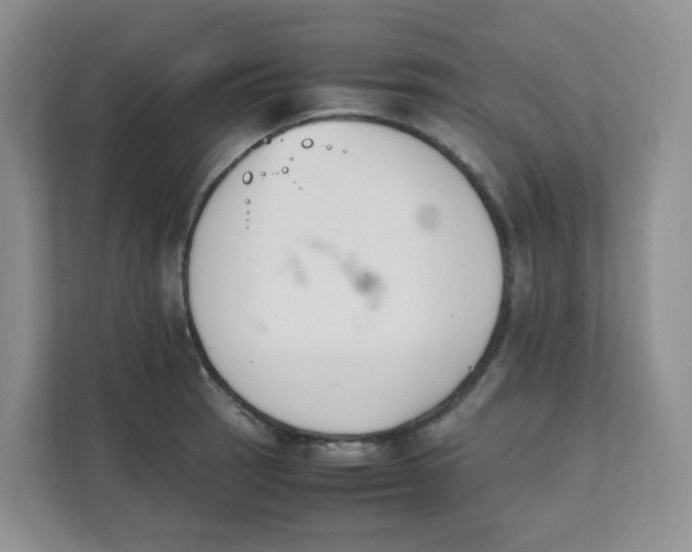 X0000111501137200908041157