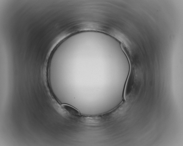 X0000111501138200908041157