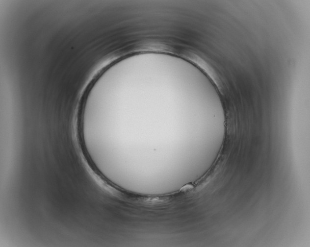 X0000111501139200908041157