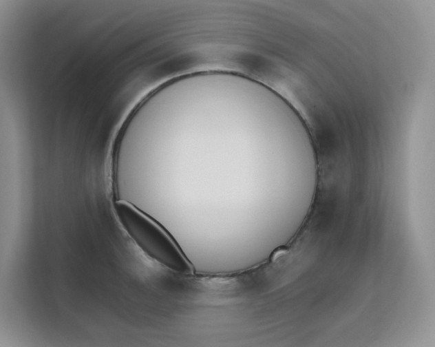 X0000111501140200908041157