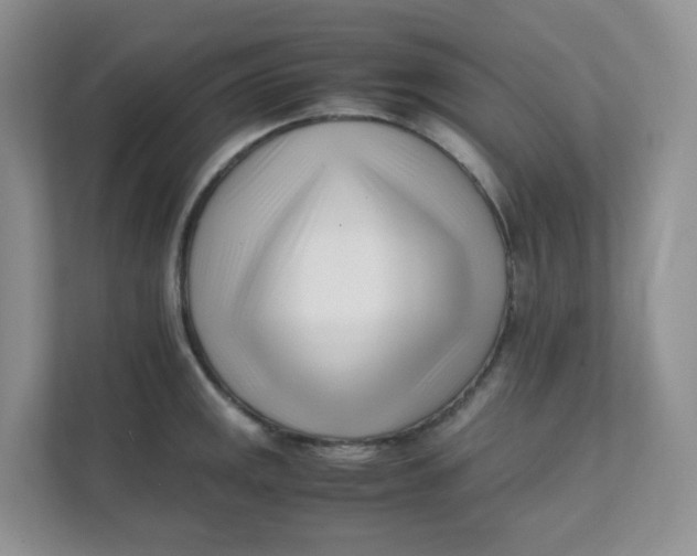 X0000111501141200908041157