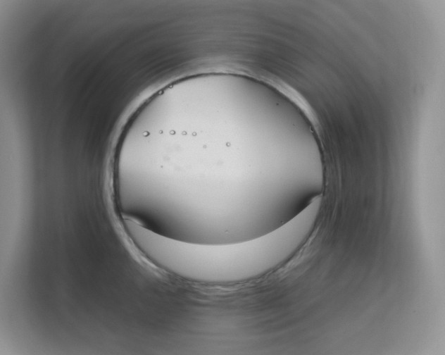 X0000111501144200908041157