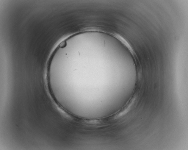 X0000111501149200908041157