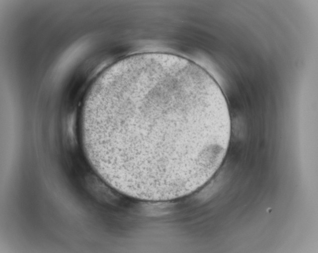 X0000111501150200908041157