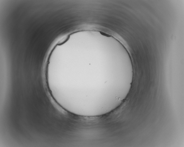 X0000111501152200908041157