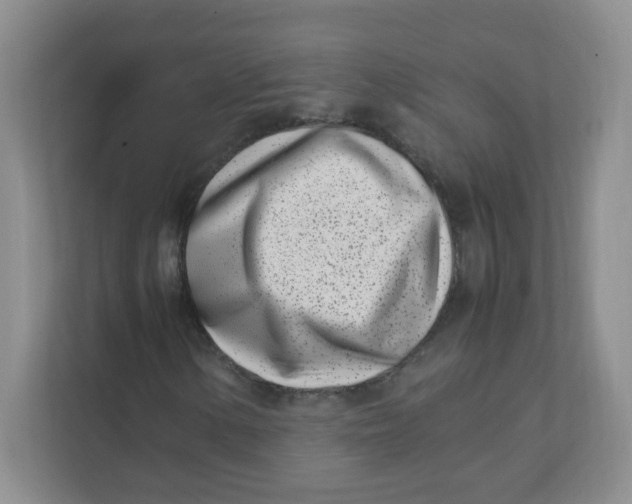 X0000111501154200908041156