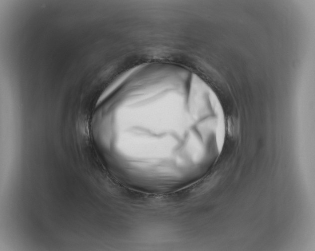 X0000111501155200908041156