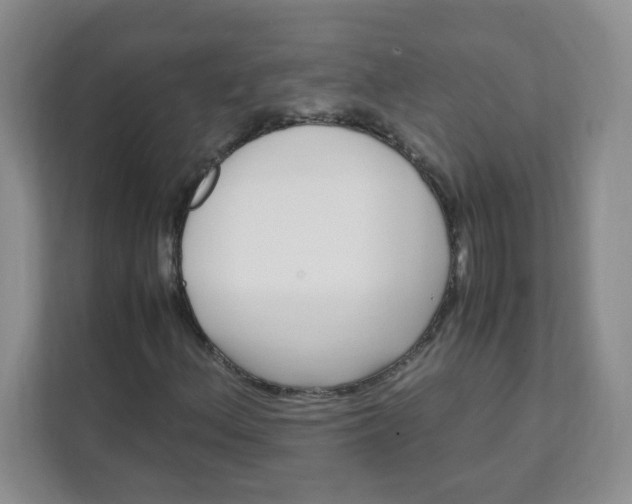 X0000111501156200908041156