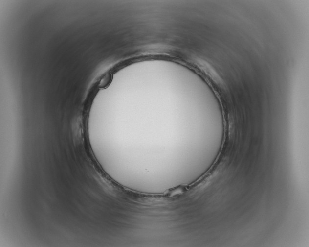 X0000111501164200908041156