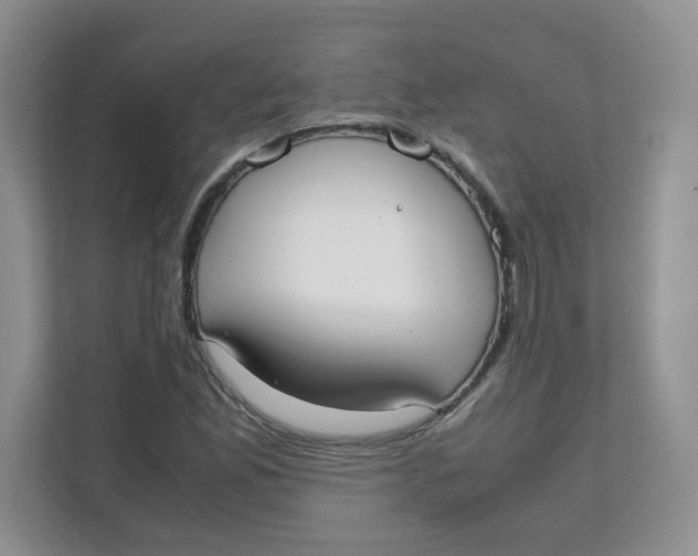 X0000111501165200908041156