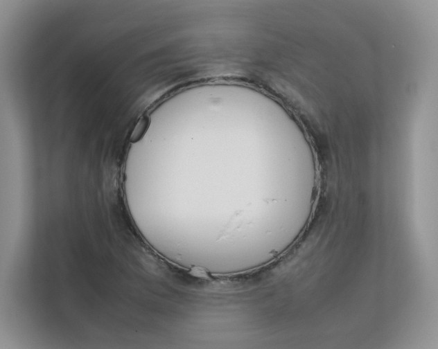 X0000111501169200908041156