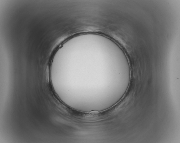 X0000111501171200908041156