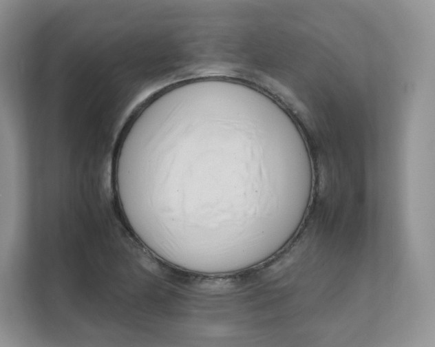 X0000111501174200908041156