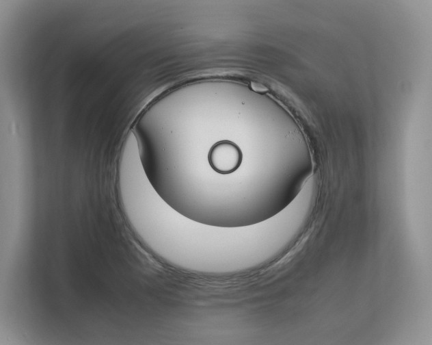 X0000111501177200908041156