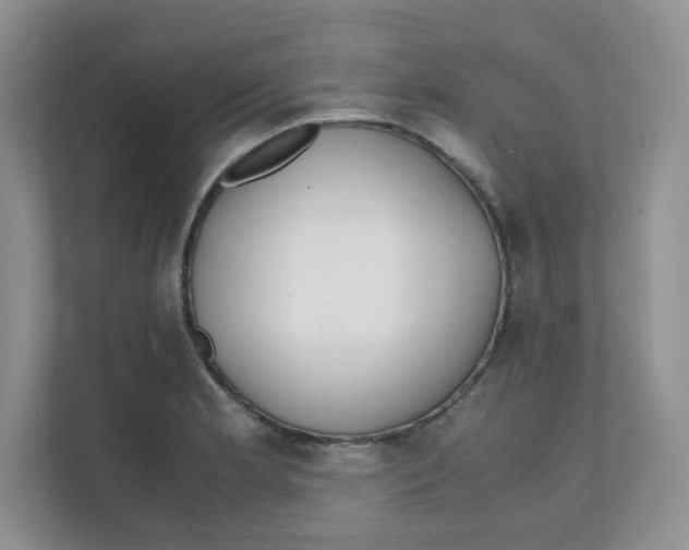 X0000111501181200908041156