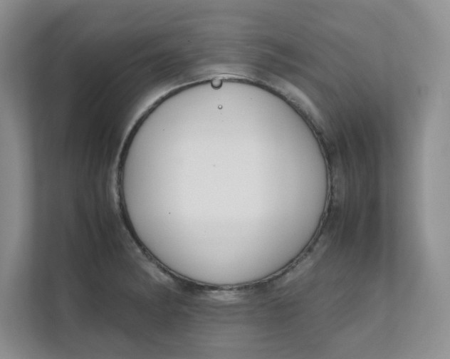 X0000111501182200908041156