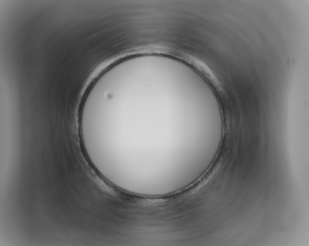 X0000111501184200908041156