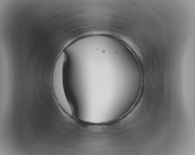 X0000111501185200908041156