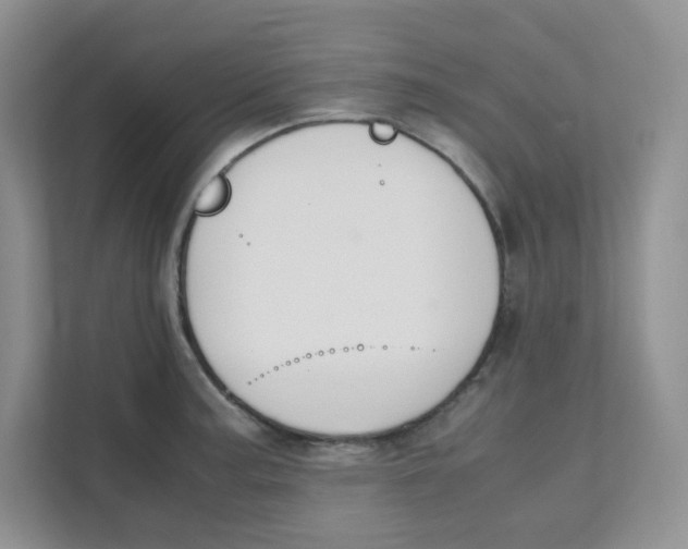 X0000111501187200908041156