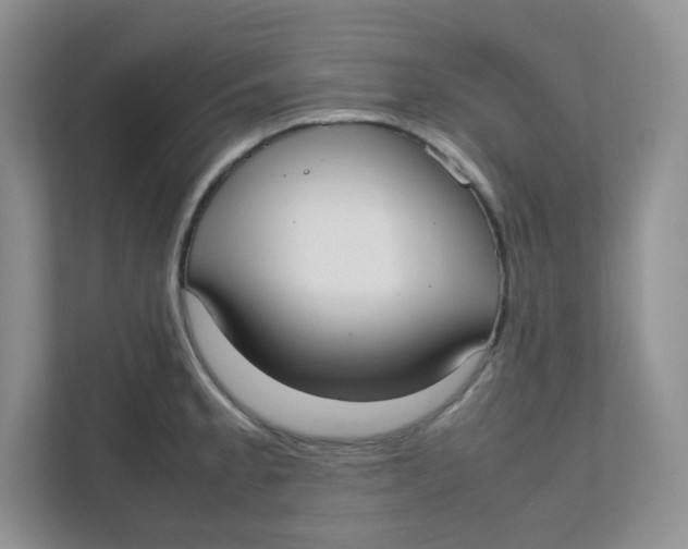 X0000111501189200908041156