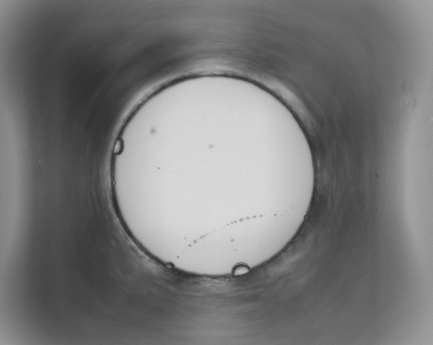 X0000111501191200908041156