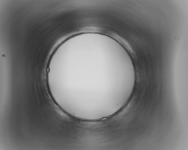 X0000111501192200908041156