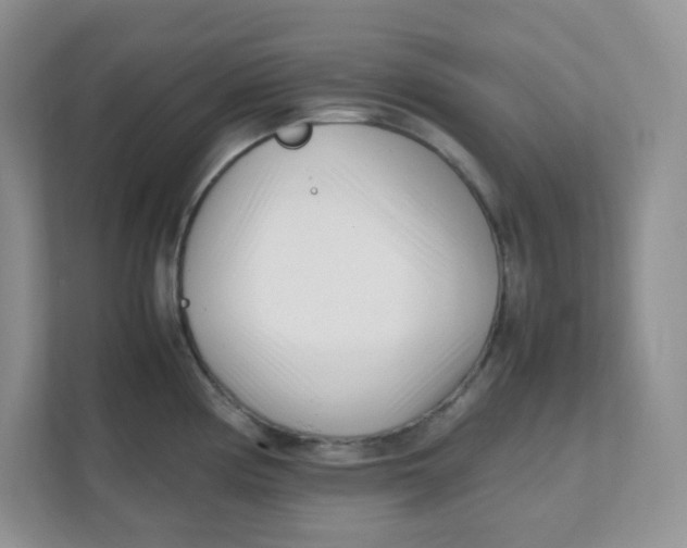 X0000111501194200908041156